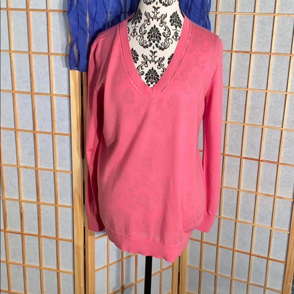 Banana Republic V neck sweater